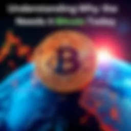 A Bitcoin symbol overlaying a globe, representing its global financial impact.