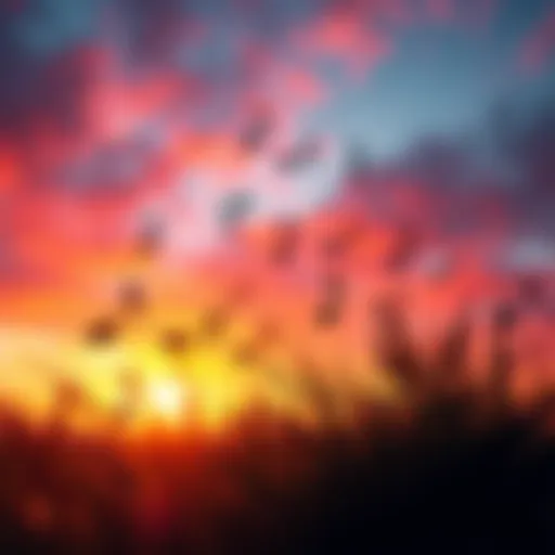 A vibrant playlist cover featuring music notes and a sunset background, symbolizing freedom and celebration.
