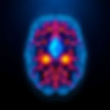 CT scan showing brain activity of individuals who held Ethereum since 2021, indicating trading habits and market behavior.