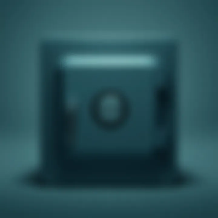 Safe 3 Product with Mark Close-up of Safe 3 showing a mark on its back with a neutral background