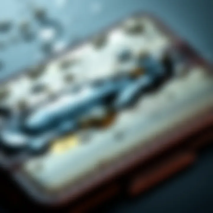 A close-up of a Ledger wallet showing signs of water damage, with visible moisture and discoloration.